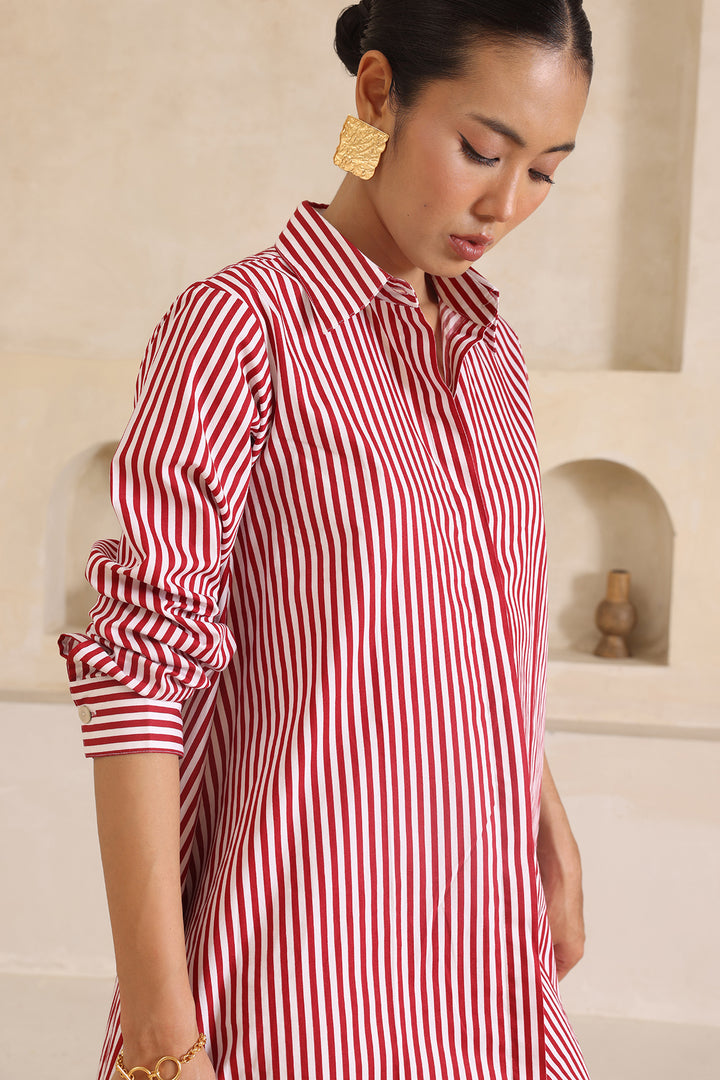 LEO SHIRT DRESS- STRIPE