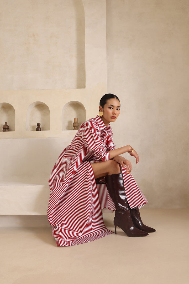 LEO SHIRT DRESS- STRIPE